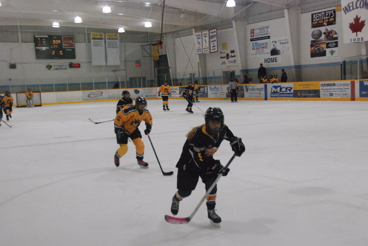 DSC_0417.JPG