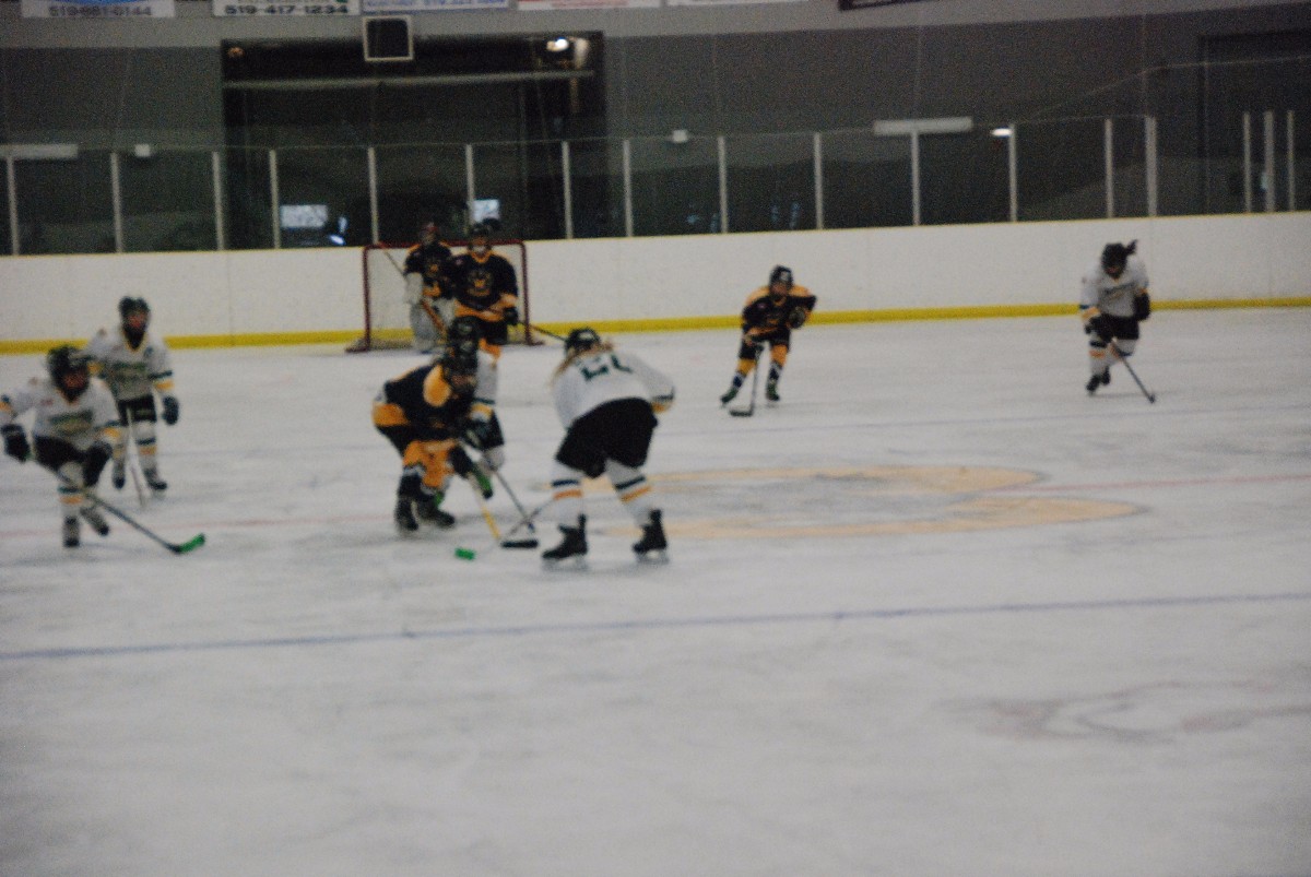 DSC_0485.JPG