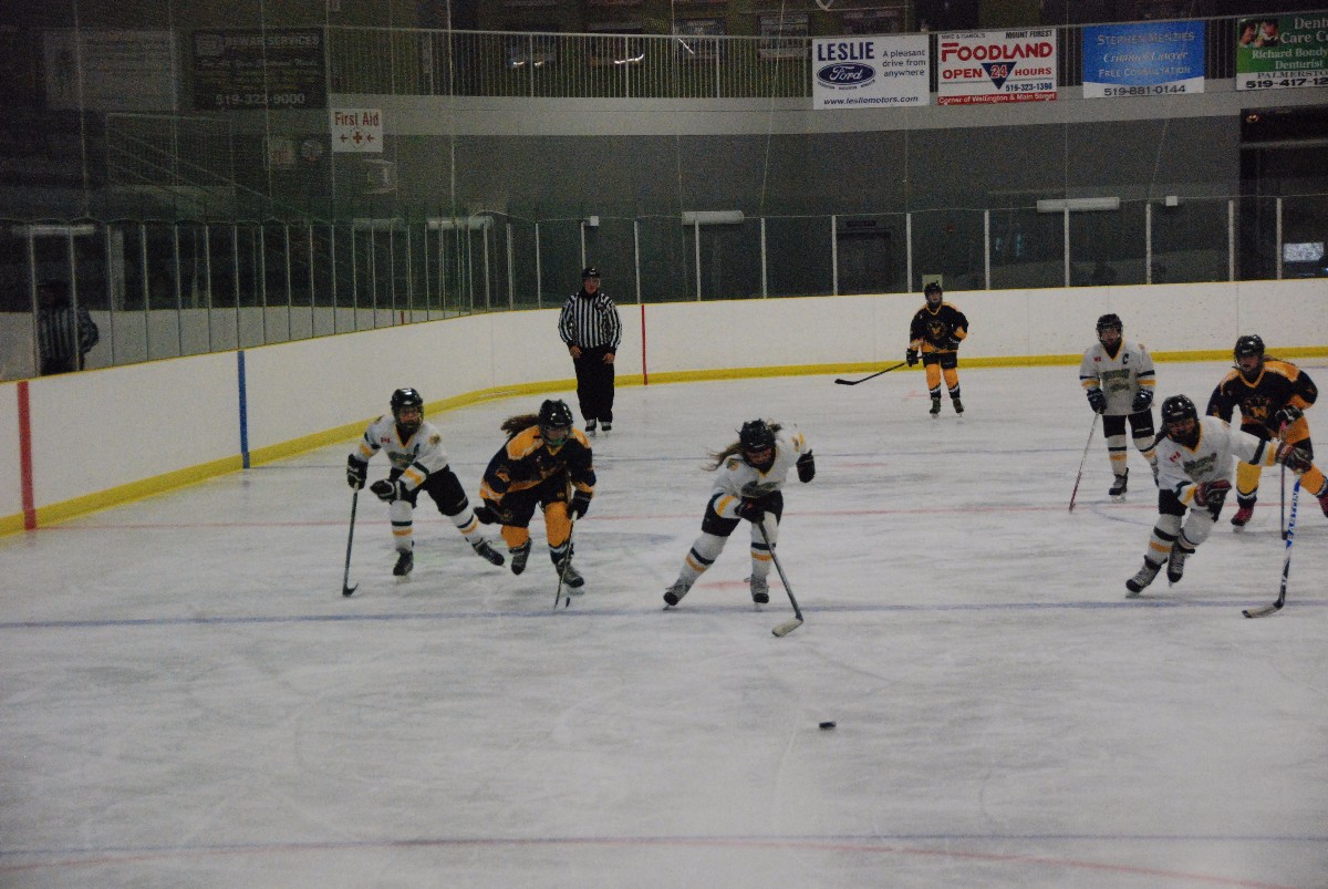 DSC_0489.JPG