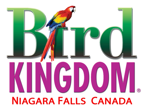 Bird Kingdom Niagara Falls
