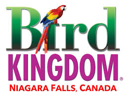Bird Kingdom