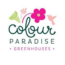 2. Colour Paradise Gift Certificate